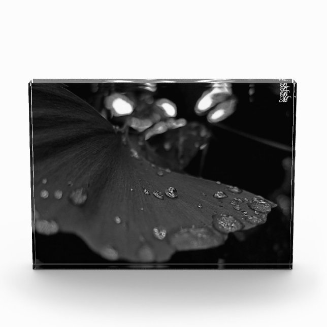Black and White Dew on Leaf Photo Block (Front)