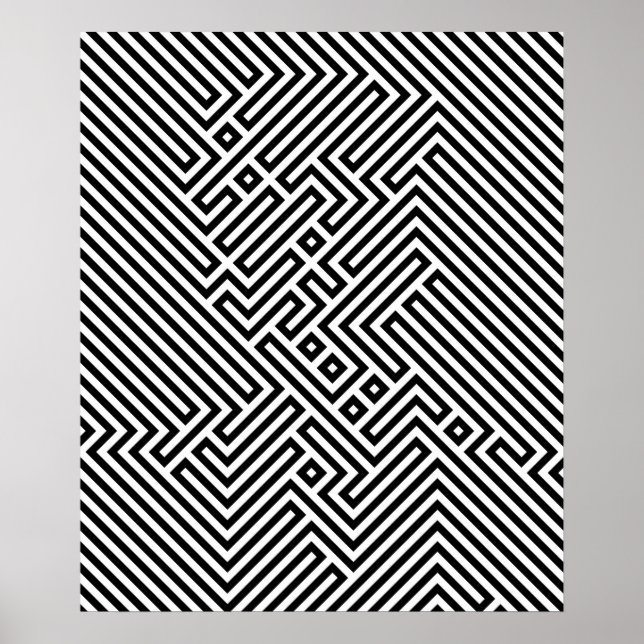 Black and White Dizzy Optical Illusion Hypnotic Poster (Front)