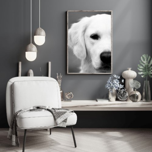 Black and White Dog Animal Photo Poster