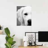 Black and White Dog Animal Photo Poster | Zazzle