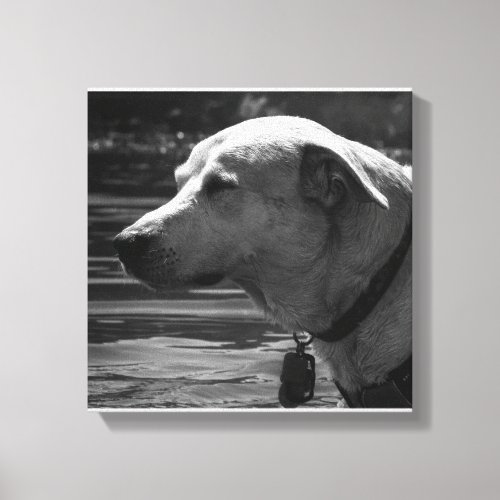 Black and White dog Canvas Print