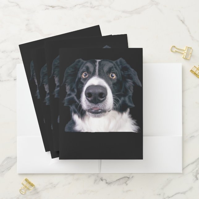 Black and White Dog Face Pocket Folder (In Situ)