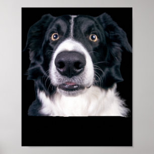 Black and White Dog Face Poster