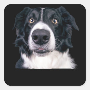Black and White Dog Face Square Sticker