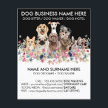 Black and White Dog Walker Pet Sitter Groomer Flyer<br><div class="desc">Black and White Dog Walker Pet Sitter Groomer</div>