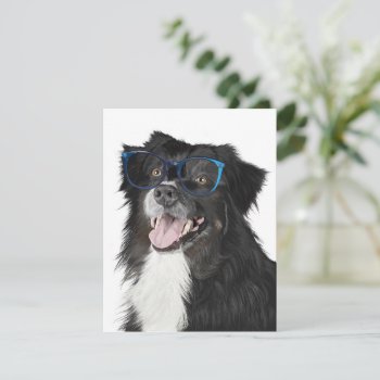 Black And White Dog With Glasses Note Card by Eclectic_Ramblings at Zazzle