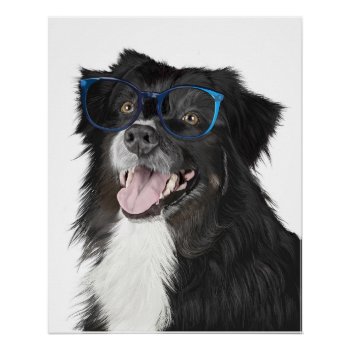 Black And White Dog With Glasses  Poster by Eclectic_Ramblings at Zazzle
