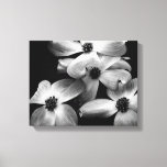 Black And White Dogwood Flower Canvas at Zazzle