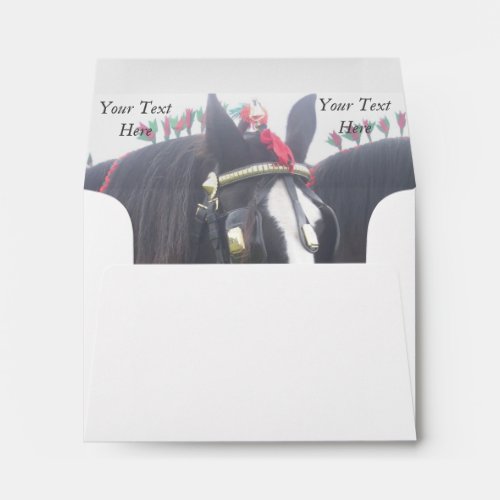 Black and white dray horse in colorful tack photo envelope