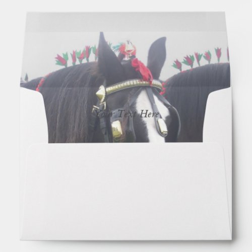 Black and white dray horse in colorful tack photo envelope