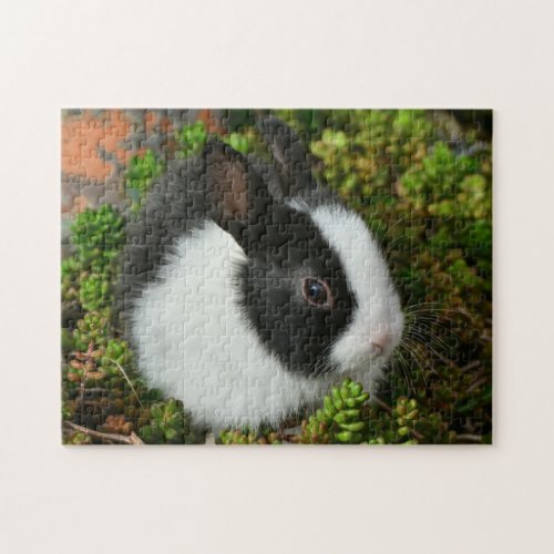 Black and White Dutch Bunny Rabbit Jigsaw Puzzle
