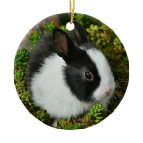 Black and White Dutch Dwarf Mini Bunny Rabbit Ceramic Ornament