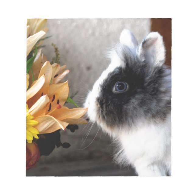 Black and white dwarf rabbit notepad (Front)