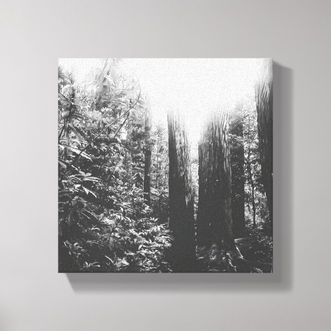 Black and White Enchanted Forest Canvas Print (Front)