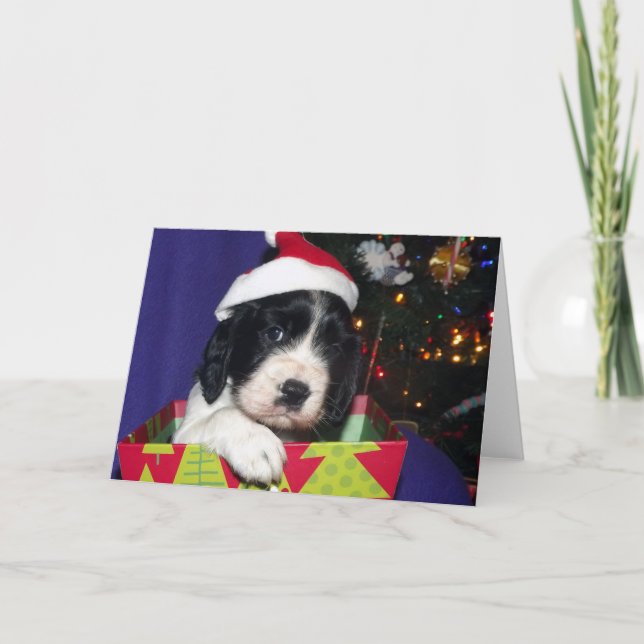 Black and White English Springer Spaniel Christma Holiday Card (Front)