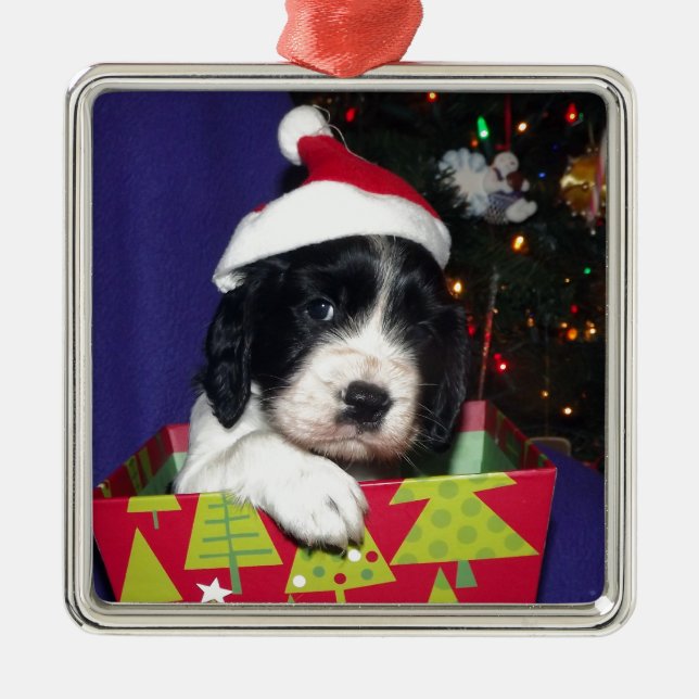 Black and White English Springer Spaniel Christma Metal Ornament (Front)