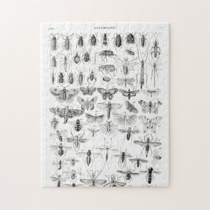 Black and White Entomology Insects Bugs Paper Plat Jigsaw Puzzle