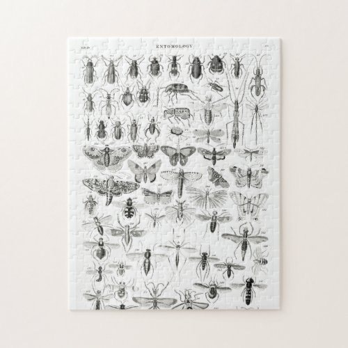 Black and White Entomology Insects Bugs Paper Plat Jigsaw Puzzle