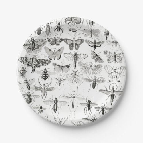 Black and White Entomology Insects Bugs Paper Plates