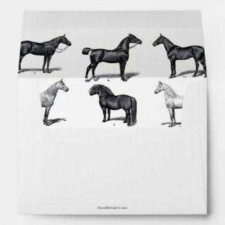 Black and white envelope with horse design