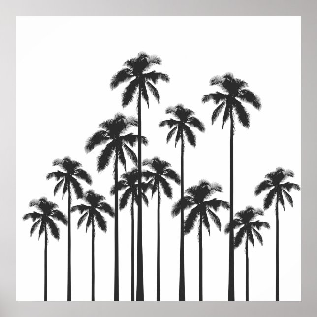 Black and White Exotic Tropical Palm Trees Poster (Front)