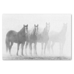 Black And White Fade Out Horses Tissue Paper