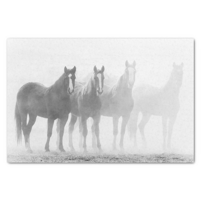 Black And White Fade Out Horses Tissue Paper