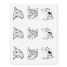 Black and White Fancy Bat Portraits