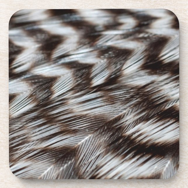 Black and White Feathers in Detail Beverage Coaster (Front)