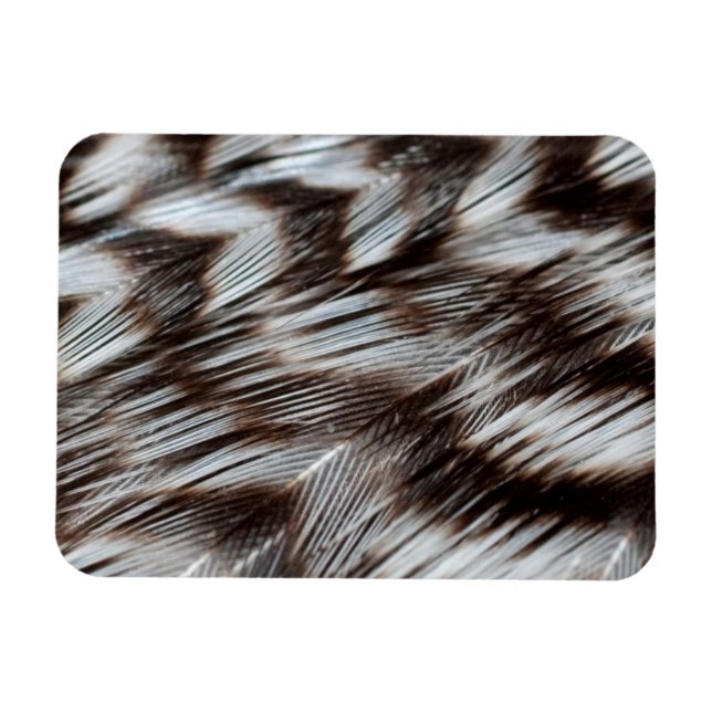 Black and White Feathers in Detail Magnet (Horizontal)
