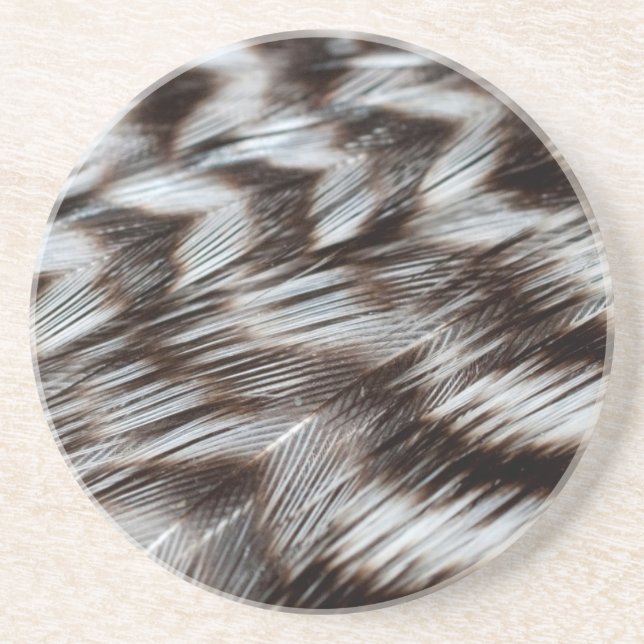 Black and White Feathers in Detail Sandstone Coaster (Front)