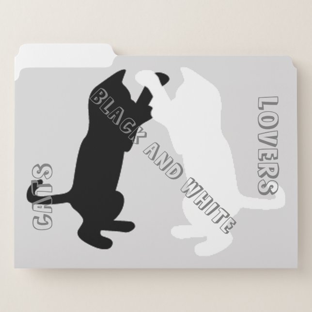 BLACK AND WHITE FILE FOLDER (Front Left)