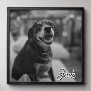 Black and White Filter Dog's Photo Personalized Peel And Stick Photo Tile