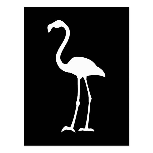 white flamingo reddit