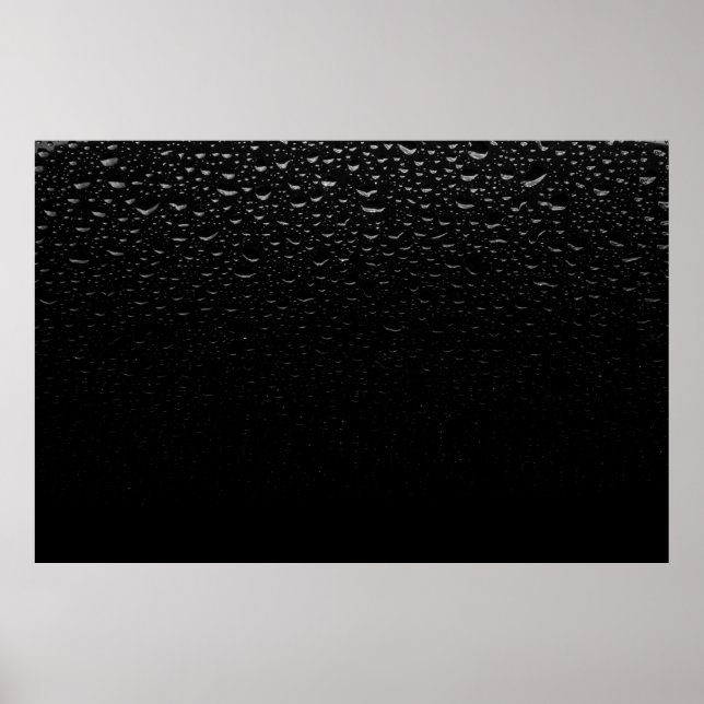 Black and white floral area rug poster (Front)