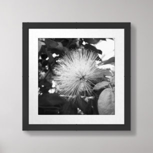 Black And White Floral Photography Framed Art