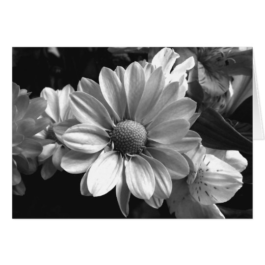 Black and White Flower Photo Card