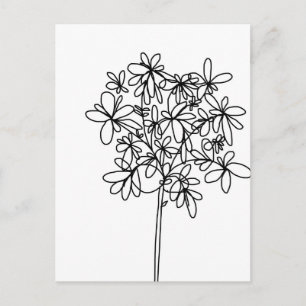 Black and White Flower - Postcard