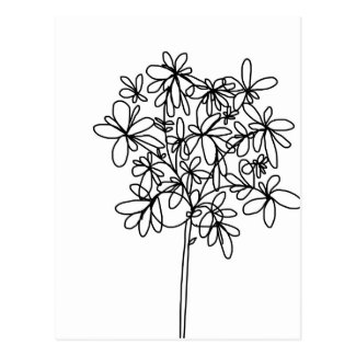 Black and White Flower - Postcard