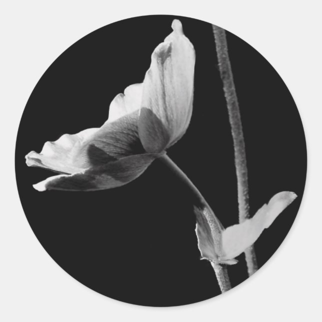 Black and White Flower Stickers (Front)