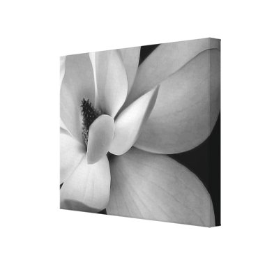 Black and white flower photo wrapped canvas print at www.zazzle.com ...