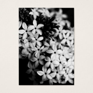 Black and White Flowers