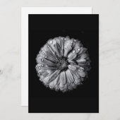 Black And White Flowers 10 (Front/Back)