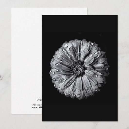 Black And White Flowers 10 (Front/Back)