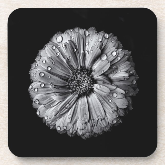 Black And White Flowers 10 Beverage Coaster (Front)
