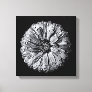 Black And White Flowers 10 Canvas Print