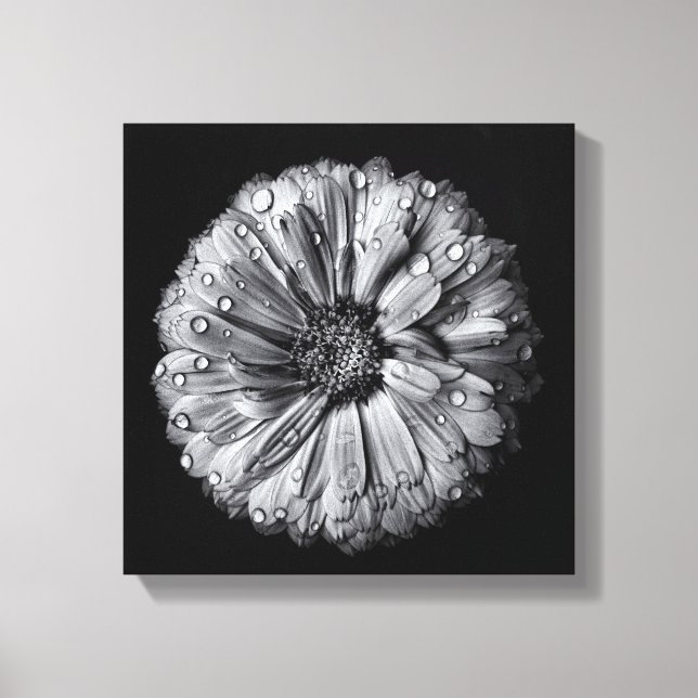 Black And White Flowers 10 Canvas Print (Front)