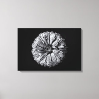 Black And White Flowers 10 Canvas Print