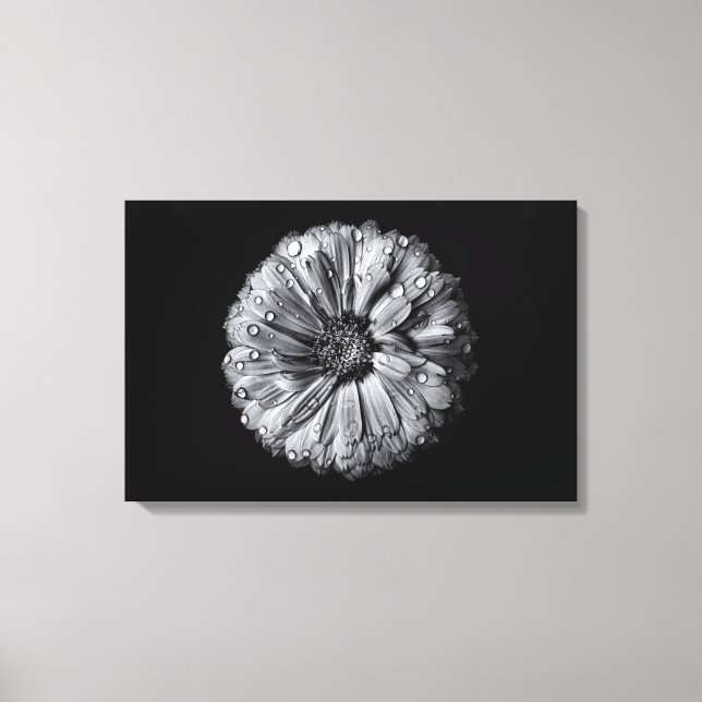Black And White Flowers 10 Canvas Print (Front)