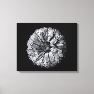 Black And White Flowers 10 Canvas Print